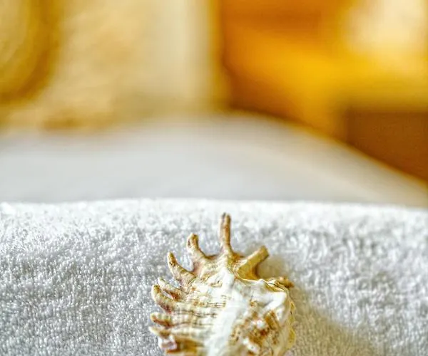 Nautilus * Áfra