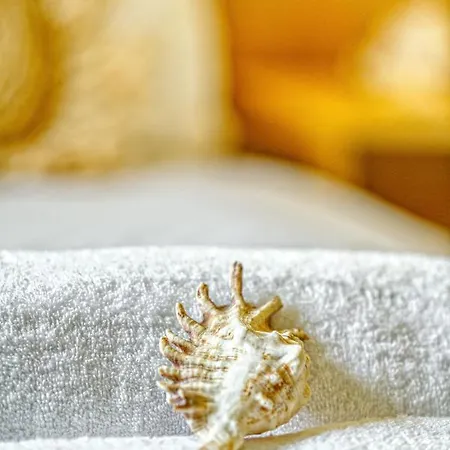Nautilus * Áfra